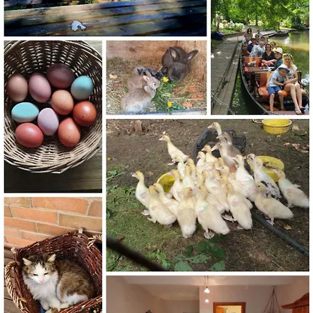 Spreewaldpension Beesk * Raddusch