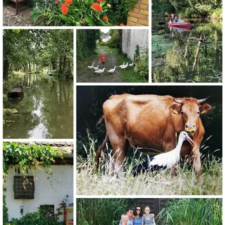 Spreewaldpension Beesk *