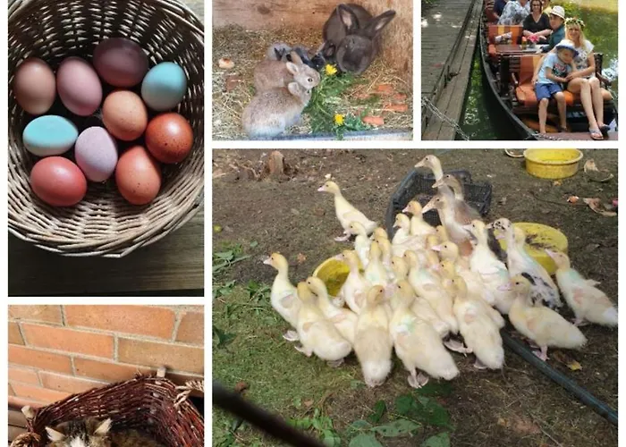 Spreewaldpension Beesk * Raddusch