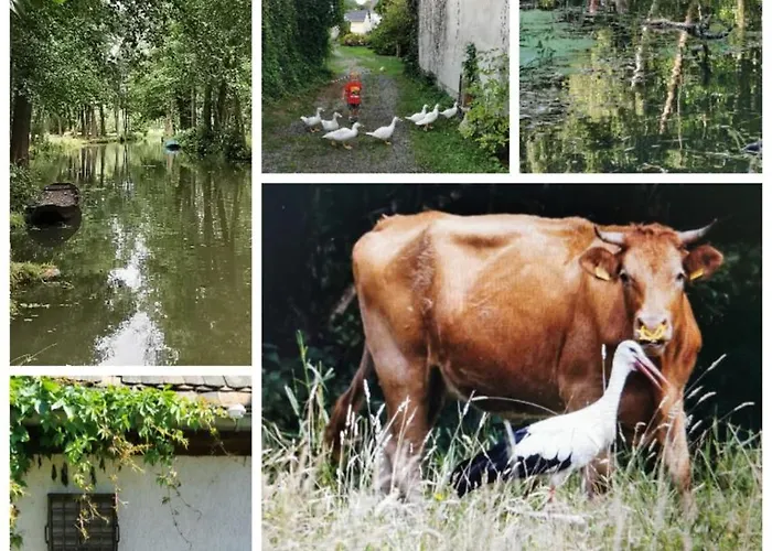 Spreewaldpension Beesk *